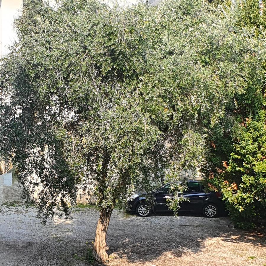 Appartamento Lido 'With Parking Space Included' Toscolano Maderno Eksteriør billede